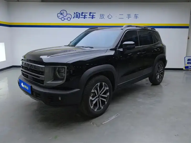 Haval Big Dog, 2024