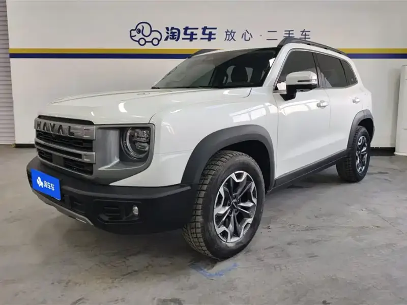 Haval Big Dog, 2024