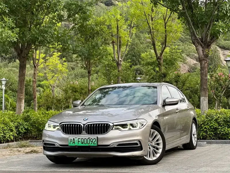 BMW 5 Series New Energy, 2020 — фото 1