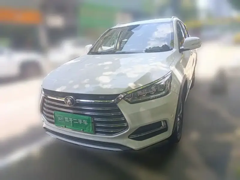 BYD New Energy, 2019