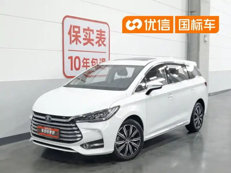 BYD MAX New Energy, 2020
