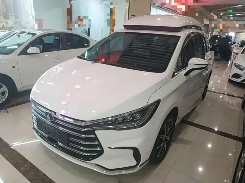 BYD MAX New Energy, 2022