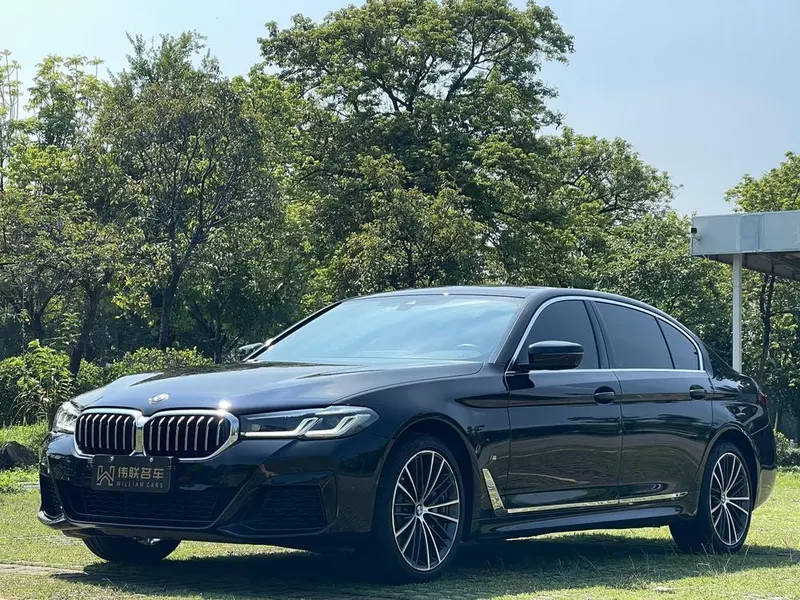 BMW 5-Series 530Li xDrive M Sport, 2021 — фото 1