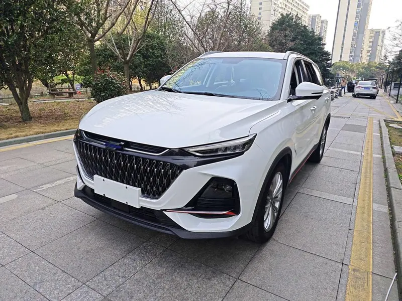 Changan Oshan X7 PLUS, 2022