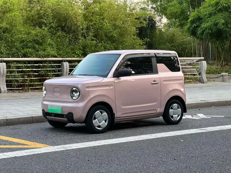 Galaxy Panda, 2023