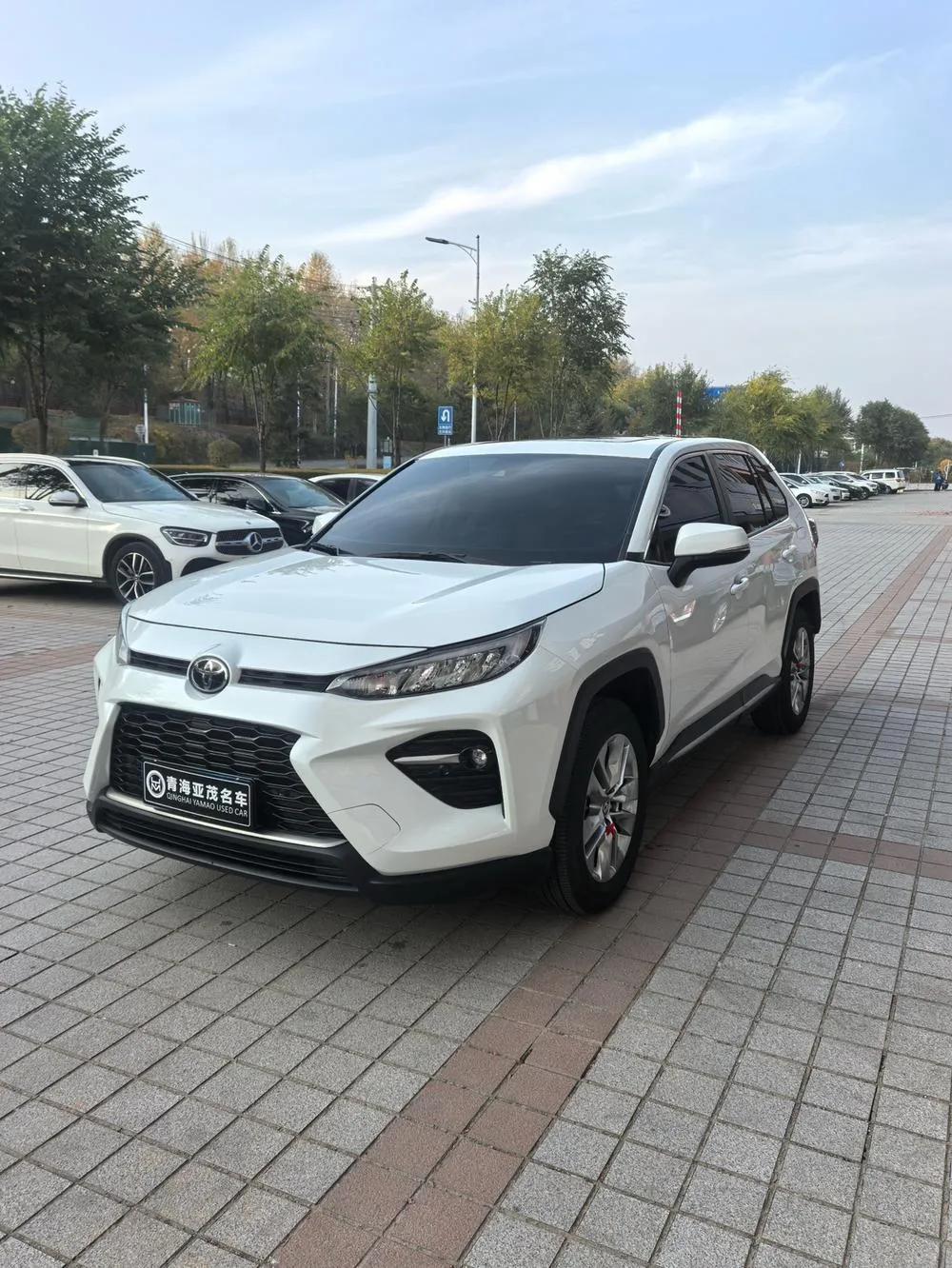 Toyota Wildlander, 2021