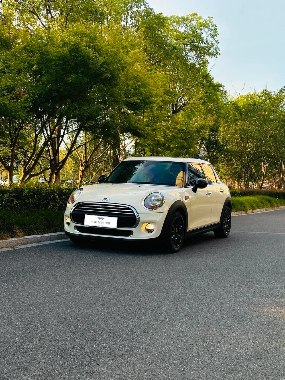 MINI MINI, 2016