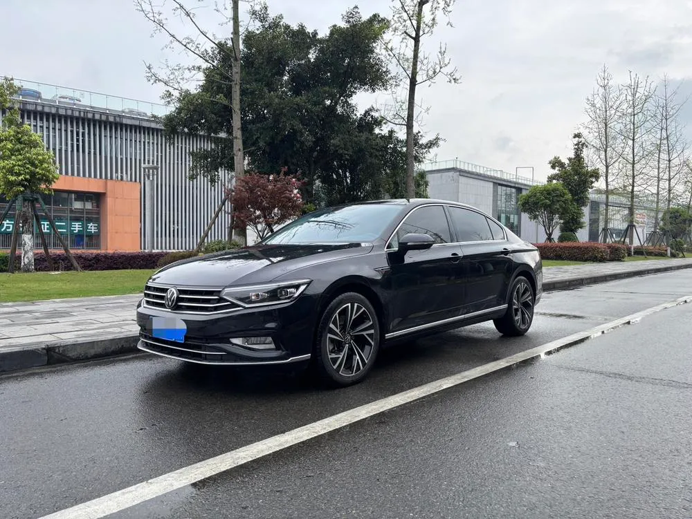 Volkswagen Magotan, 2020
