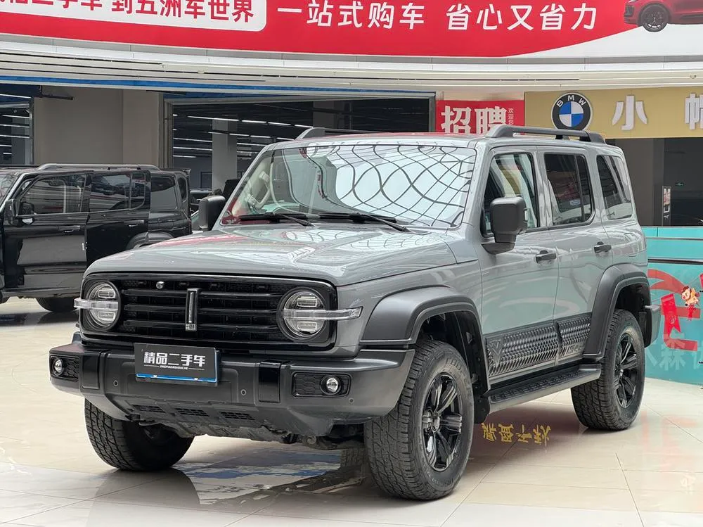Tank 300, 2020