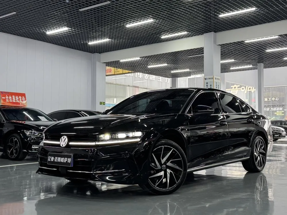 Volkswagen Magotan, 2024