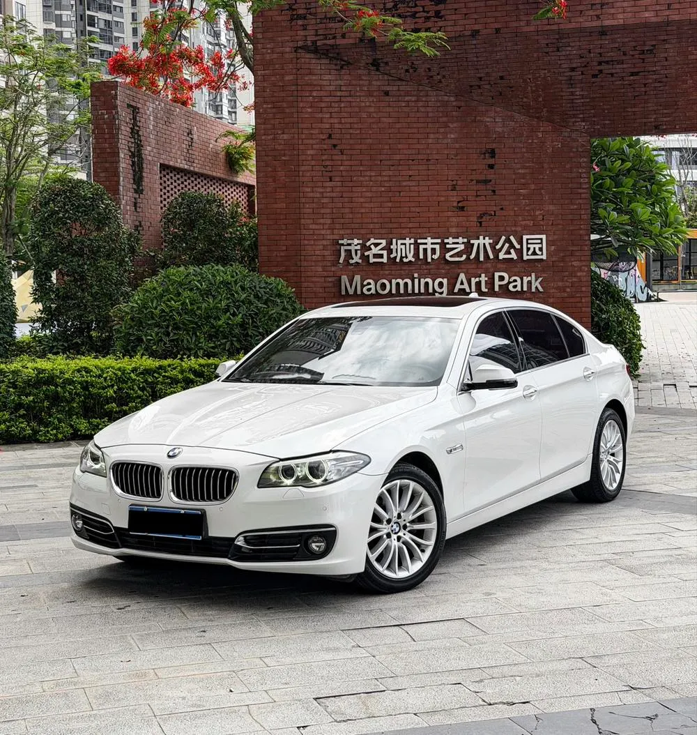 BMW 5-Series, 2014