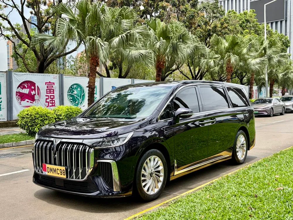 Voyah Dreamer PHEV, 2022