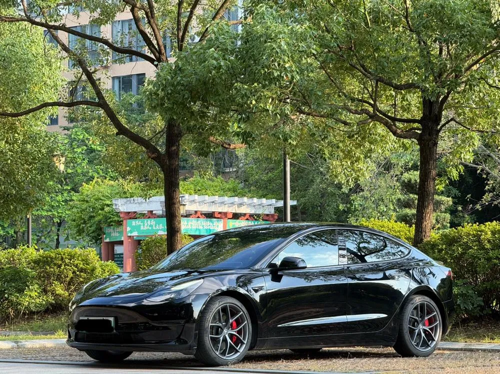 Tesla Model 3, 2021