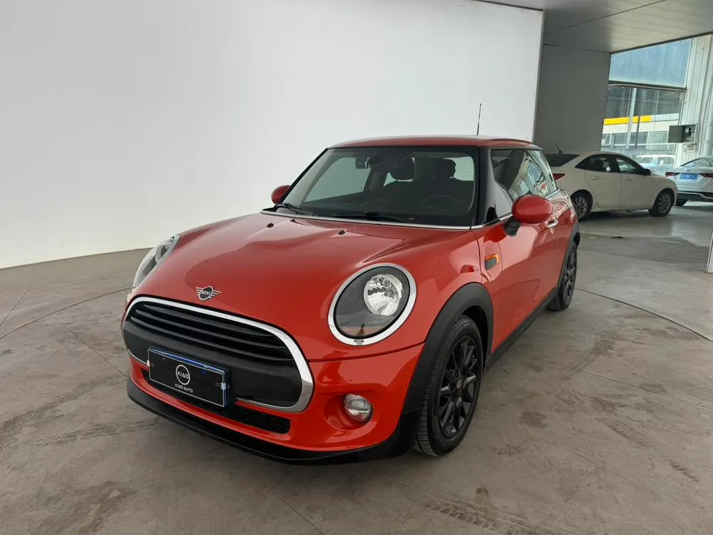 MINI MINI, 2018