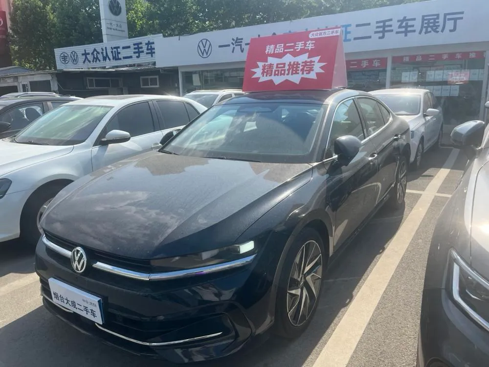 Volkswagen Magotan, 2024
