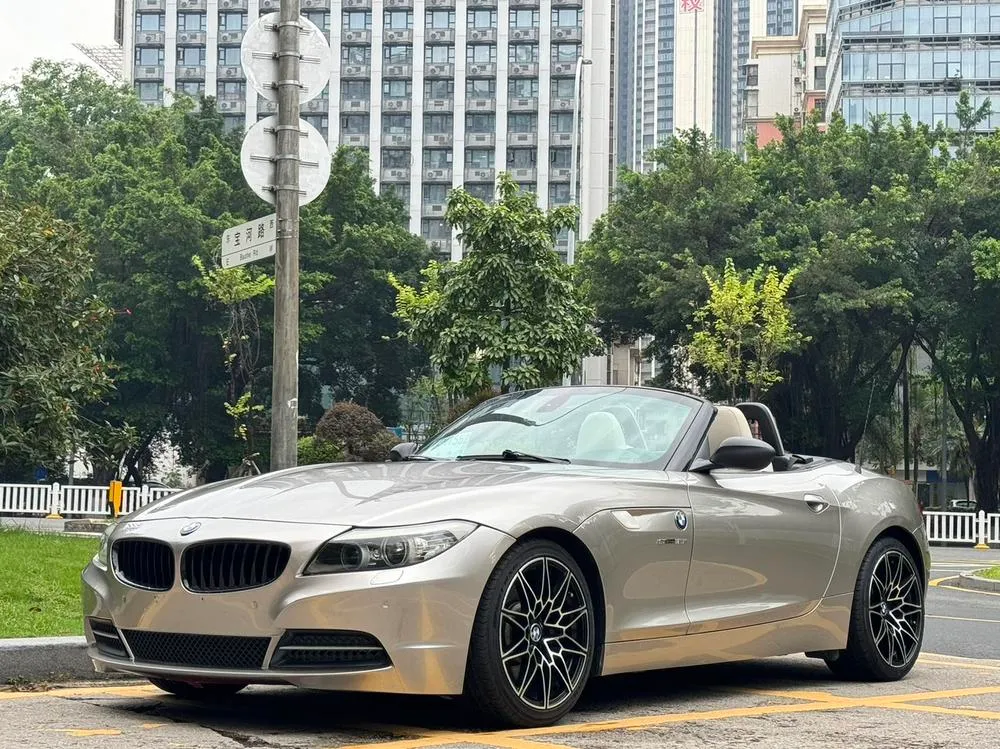 BMW Z4, 2010