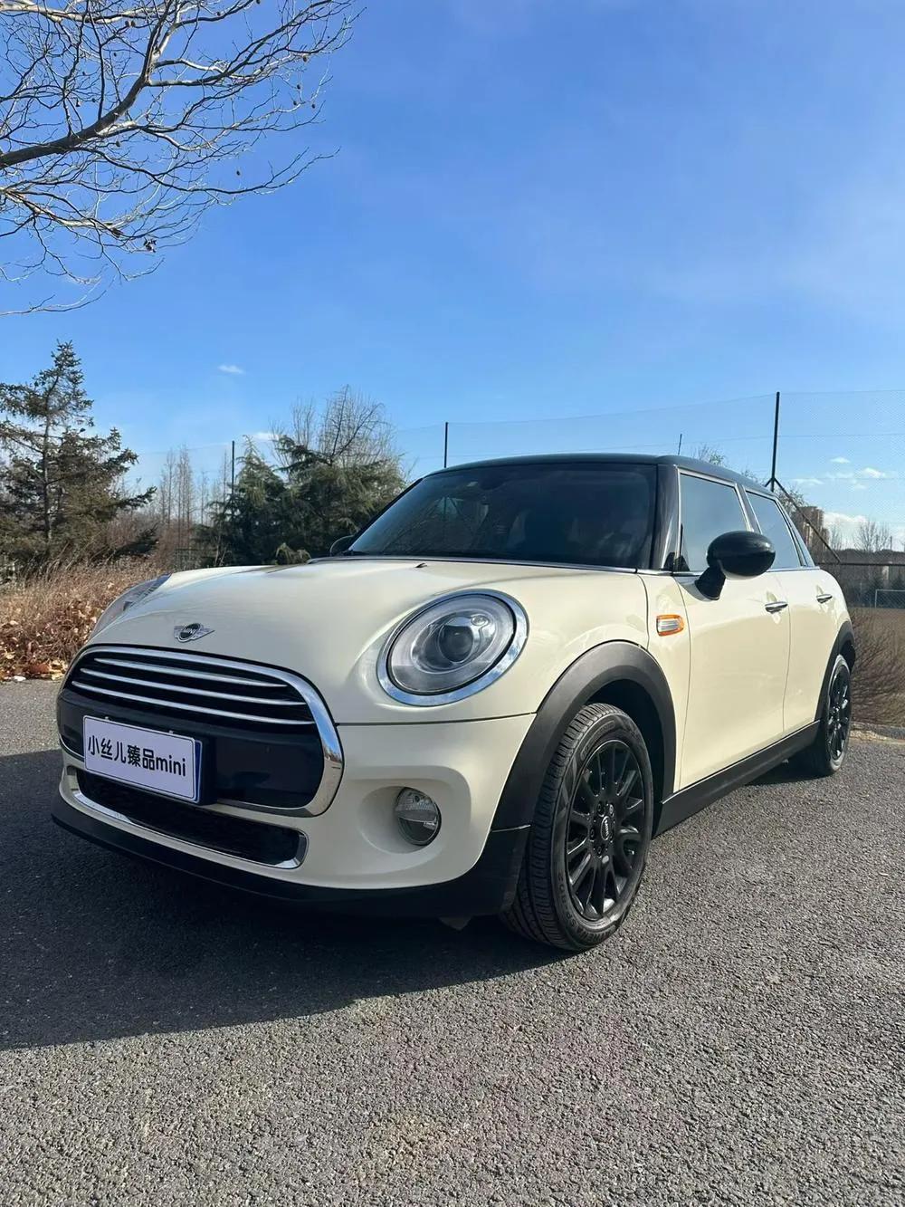 MINI MINI, 2016