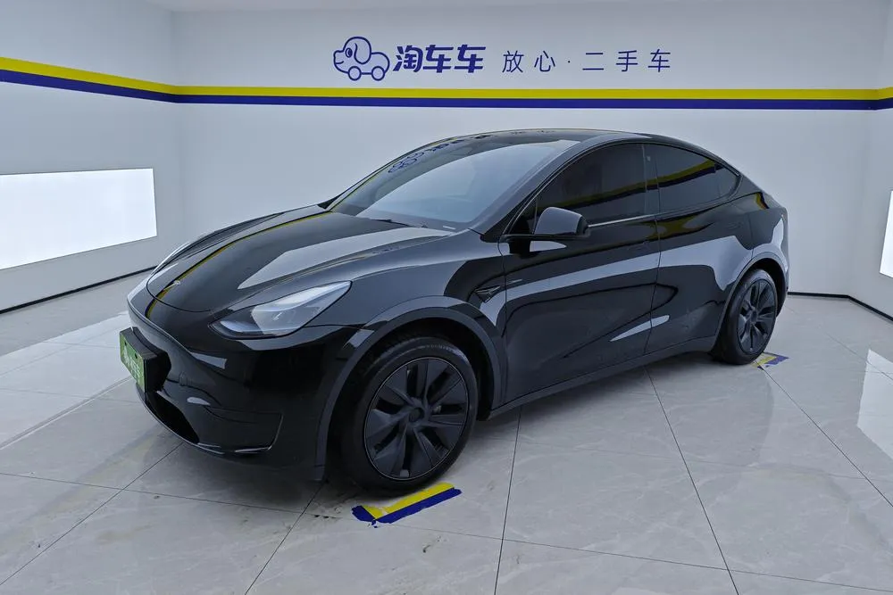 Tesla Model Y Edition, 2023 — фото 1