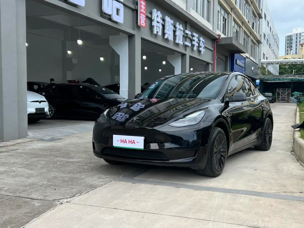 Tesla Model Y, 2022