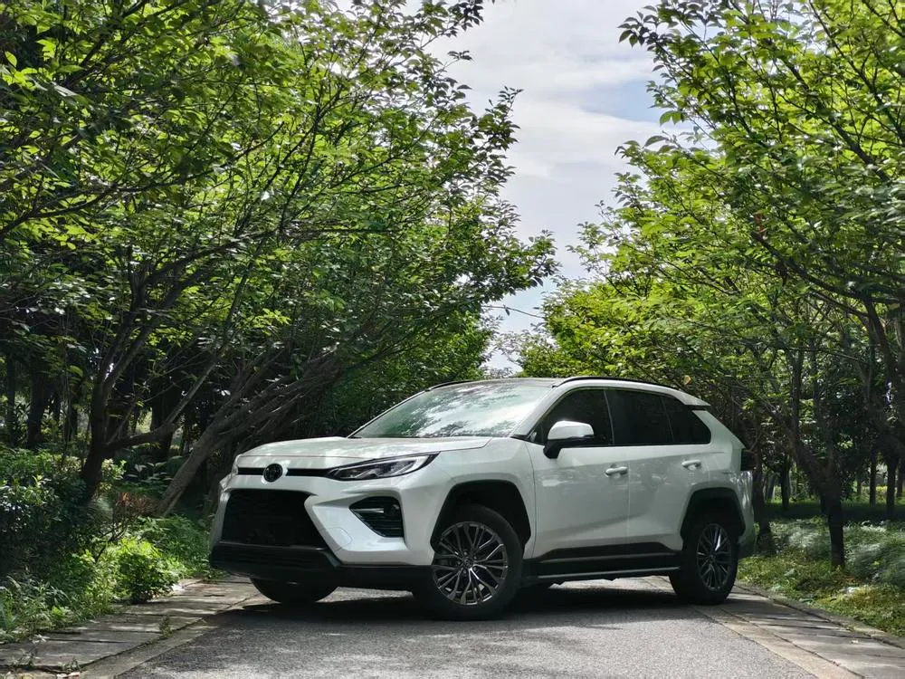 Toyota Wildlander, 2023