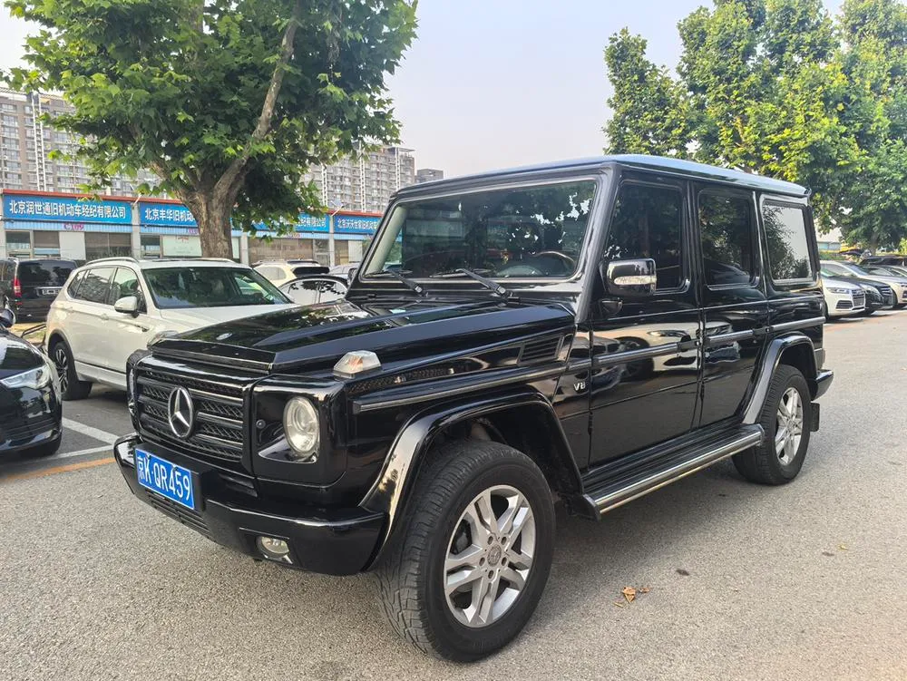 Mercedes-Benz G-Class, 2010
