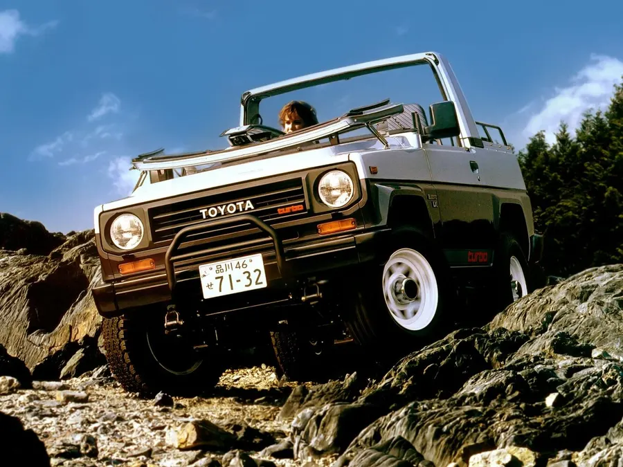Toyota Blizzard — фото модели